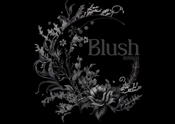 BLUSH AESTHETIC SPA visual data 7