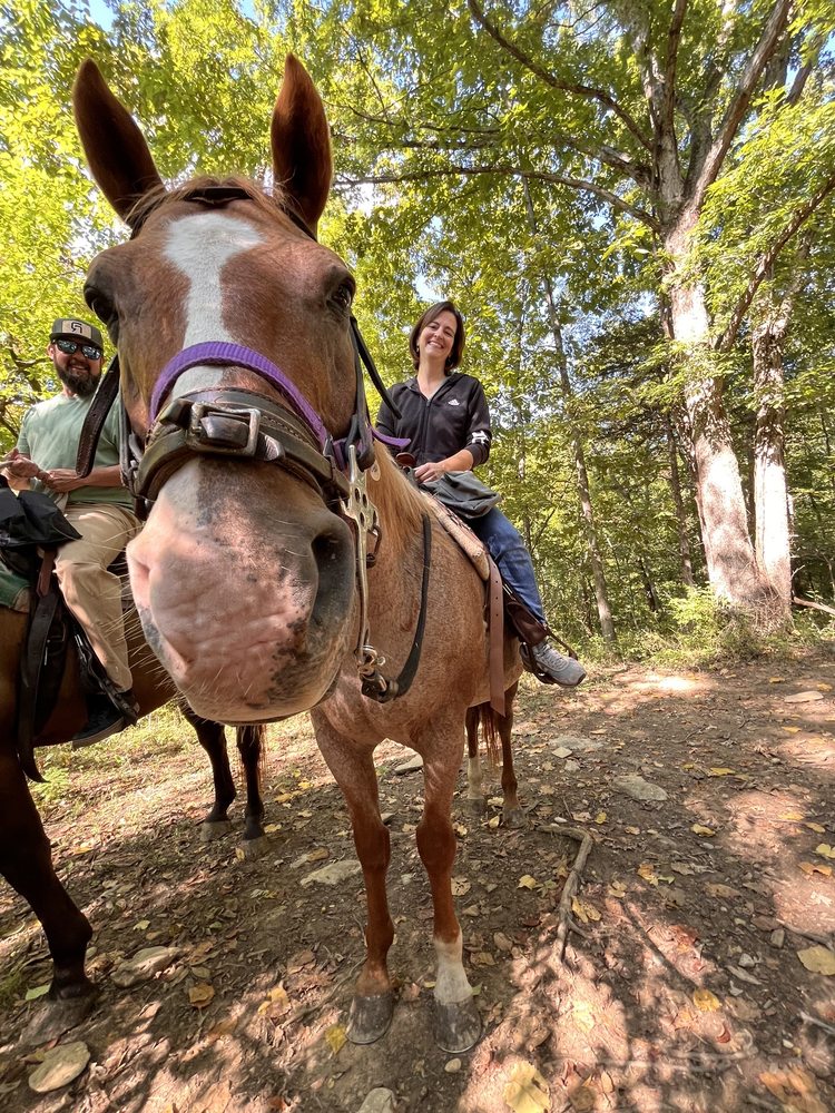 Whispering Woods Riding Stables