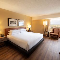 Hotel Albuquerque at Old Town - King guestroom