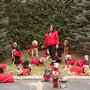 Photo of Canine Academy