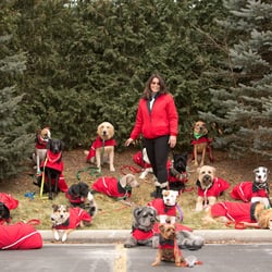 Canine Academy - Surrounded by GREAT dogs.