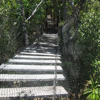 Jardín Botánico Dr. Alfredo Barrera Marín - bridge through the tree tops between the tops of viewing towers - Botanical Gardens Near Me - Puerto Morelos, ROO Jardín Botánico Dr. Alfredo Barrera Marín - bridge through the tree tops between the tops of viewing towers - Botanical Gardens Near Me - Puerto Morelos, ROO