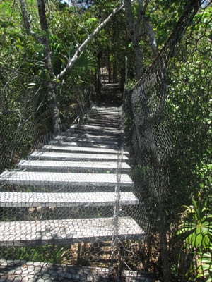 Jardín Botanico Dr. Alfredo Barrera Marín by null