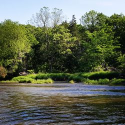 Oak Creek Estate - Enjoyed the pure beauty and seclusion of our relaxing weekend at the campground, thank you to Tom and Sue.