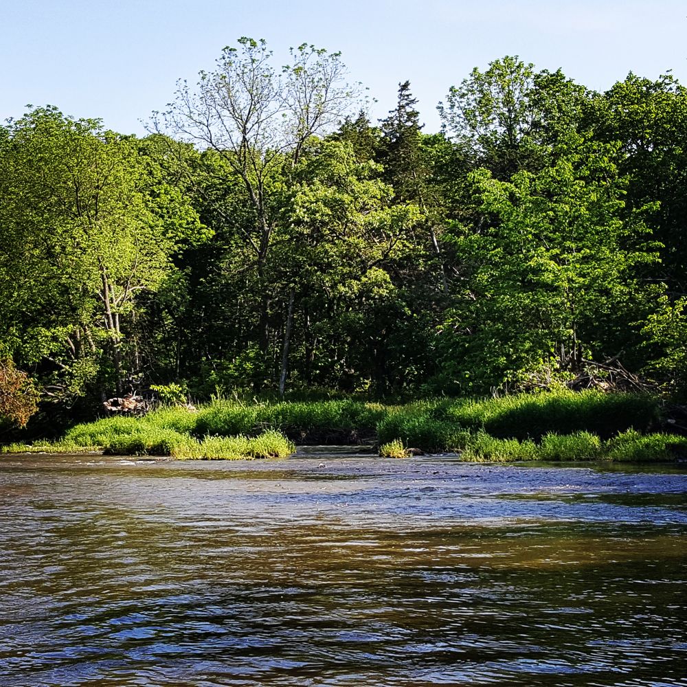 Social spots from Oak Creek Estate