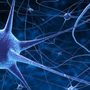 Swaraj Bose, MD - NeuroEyeOrbit Institute