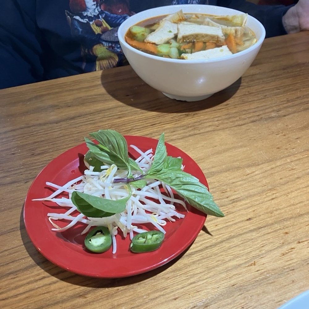 V3. Vegetarian Pho