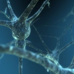 Neurokinetics Health Services