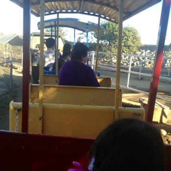 Montebello Barnyard Zoo - Odd "train" pulled by a truck and weight must be distributed properly so adults are in front next to exhaust from truck - Petting Zoos Near Me - Montebello, California Montebello Barnyard Zoo - Odd "train" pulled by a truck and weight must be distributed properly so adults are in front next to exhaust from truck - Petting Zoos Near Me - Montebello, California