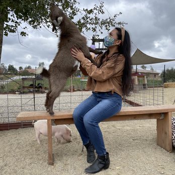 SoCalMiniPigs - Pet Breeders Near Me - Valley Center, California