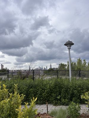 Marsha P. Johnson State Park by null