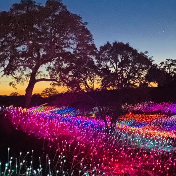 Sensorio - If you go through at dusk you can capture the trees in your photos and the colors. - Art Galleries Near Me - Paso Robles, California Sensorio - If you go through at dusk you can capture the trees in your photos and the colors. - Art Galleries Near Me - Paso Robles, California