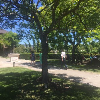 Peju Winery - Grounds - Wine Tasting Room Near Me - Rutherford, California