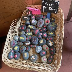 Clifford's Coffee Canal - Pet rocks for free :)