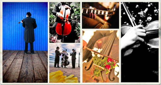 The Black Tree School