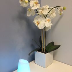 Grandview Chiropractic & Acupuncture Clinic - All the rooms were so clean and therapeutic!
