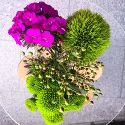 Schicke Blumenmeisterei - wunderschöne Schnittblumen