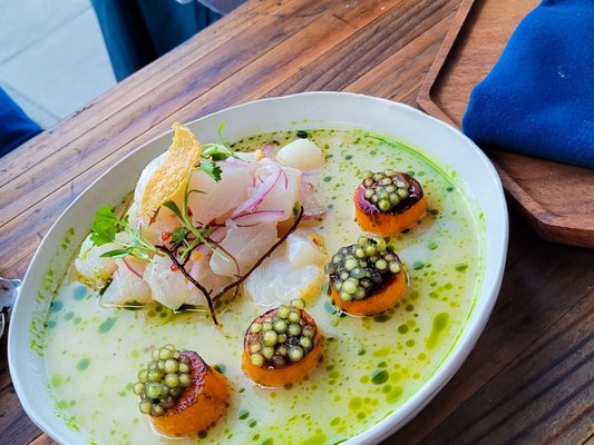 Seabird by null Seabird by null