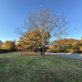 Dewitt Loop Trail - Hiking Near Me - Fort Belvoir, Virginia