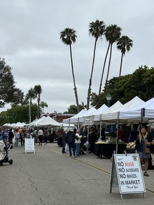 Ventura Farmers' Market (Downtown) by null