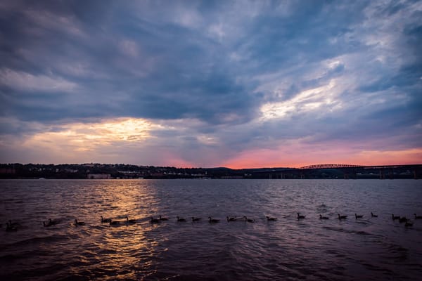 Pete and Toshi Seeger Riverfront Park by null