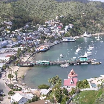 Catalina Island - Local Flavor Near Me Catalina Island - Local Flavor Near Me