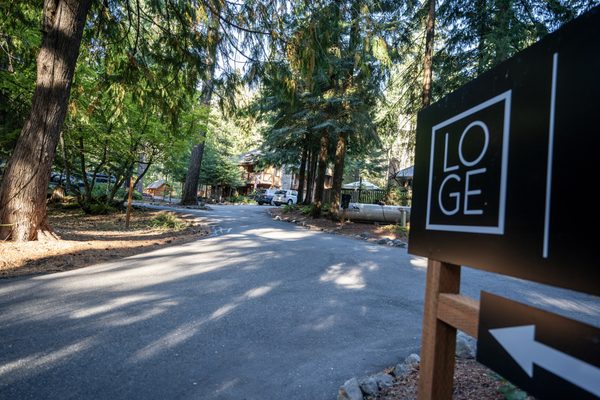 LOGE Alta Crystal by null