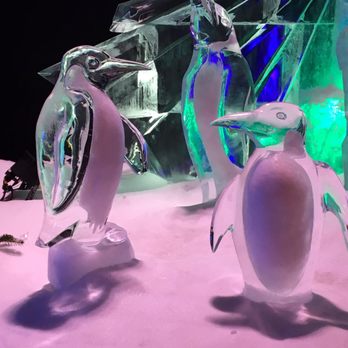 Eiswelt Mainz - Art Galleries Near Me - Mainz, RP