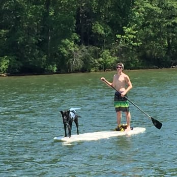 Tailrace Marina - My son teaching the pup to paddle board - Rafting/Kayaking Near Me - Mount Holly, North Carolina Tailrace Marina - My son teaching the pup to paddle board - Rafting/Kayaking Near Me - Mount Holly, North Carolina