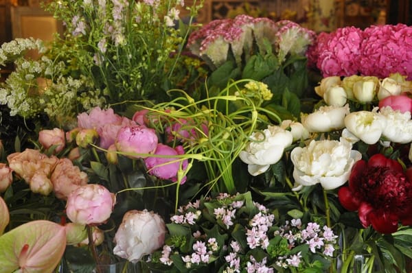 Marguerite Gardens Florist by null