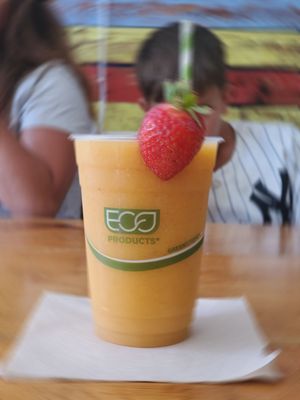 The Ice Storm by null