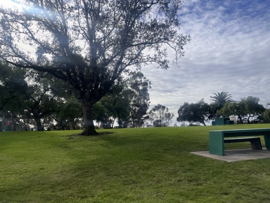 Golden Hill Park by null