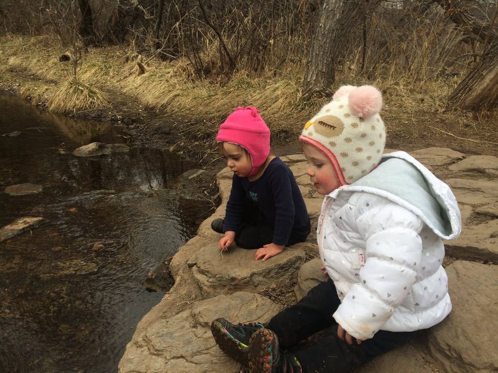 Worldmind Nature Immersion School - childcare center in Denver, CO
