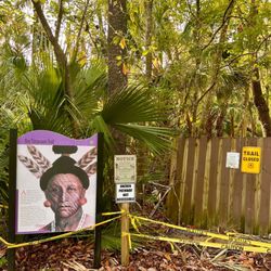 Alexander Springs