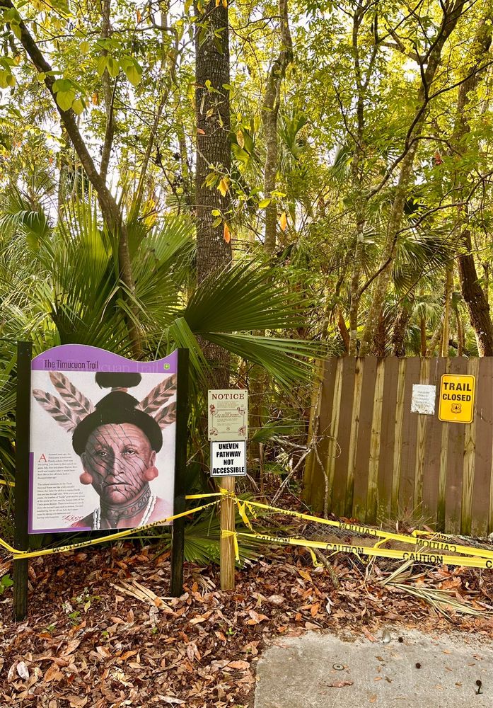 Alexander Springs Image