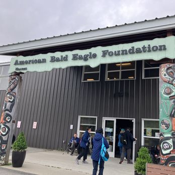 American Bald Eagle Foundation - Museums Near Me - Haines, Alaska American Bald Eagle Foundation - Museums Near Me - Haines, Alaska