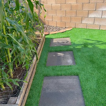 Green X Turf Artificial Grass - Side yard next to my corn plants - Artificial Turf Near Me Green X Turf Artificial Grass - Side yard next to my corn plants - Artificial Turf Near Me