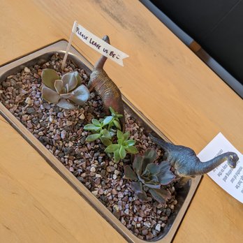 Dinosaur Coffee - they had this type of set up in their tables inside haha cute! - Coffee & Tea Near Me - Los Angeles, California
