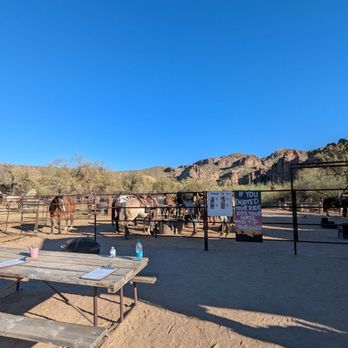 Saguaro Lake Ranch Stable - When you walk up - Horseback Riding Near Me - Mesa, Arizona Saguaro Lake Ranch Stable - When you walk up - Horseback Riding Near Me - Mesa, Arizona