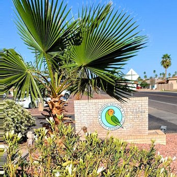 Birdies Coffee Lounge - Entry to Palmbrook but no sign for Birdies, so just go in - Coffee & Tea Near Me - Sun City, Arizona