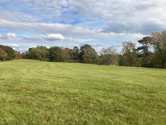 Emerald Mound by null