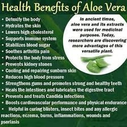 Tropical Nektar Juice Company - We have organic Aloe
