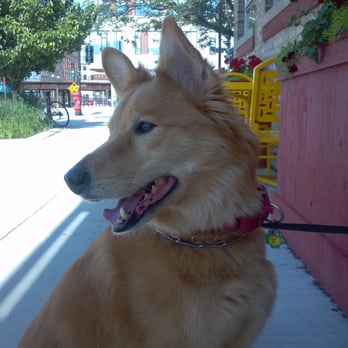 Colectivo Coffee Foundry - The Foundry location is also pooch friendly. - Coffee & Tea Near Me - Milwaukee, Wisconsin