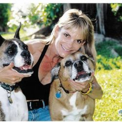 Pet Nanny Pet Sitting Service - Pet nanny pet sitting service and her two Boxers Binkie and Zach