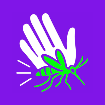 Smack That Pest Control - Pest Control Near Me - Celina, Texas Smack That Pest Control - Pest Control Near Me - Celina, Texas