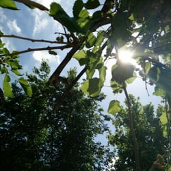 Parque Infanta Elena