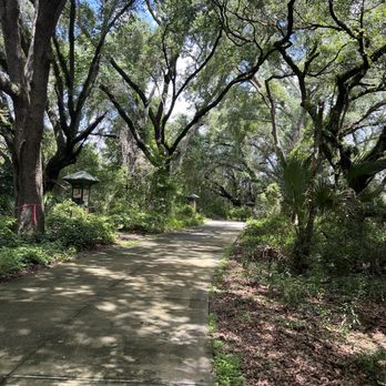 Pear Park - Hiking Near Me - Leesburg, Florida Pear Park - Hiking Near Me - Leesburg, Florida