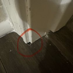 Wehner Renovations And Repairs - Poor workmanship