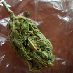 Yavapai Herbal Services - Pretty
