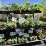 Photo of Cloverdale Home & Garden